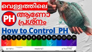 കുളത്തിലെ മീനുകൾ ചാവുന്നുണ്ടോ |  How to Control PH level in Fish Tank in Malayalam 2020