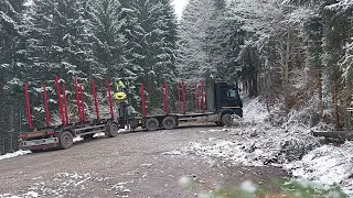 transport lemn. holztransport