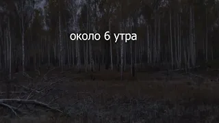 Конец гона. На солонце ждём быка...