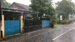 Heavy Rain in the Afternoon in a Mountain Village | Cool and refreshing rural areas in Indonesia