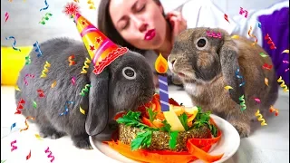 Первый День Рождения Кролик Лизун и Эльза едят торт | Elli Di Pets
