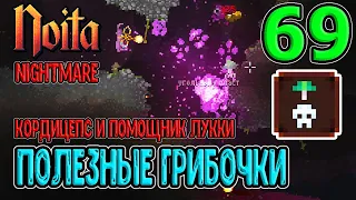 Первый прогресс в Кошмаре / Кордицепс и Помощник Лукки / Noita (Ноита) Epilogue прохождение