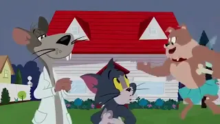 TOM AND JERRY   Say Cheese    Classic Cartoon Compilation   MYVIN CARTOON