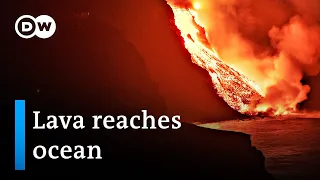 Lava from La Palma volcano reaches Atlantic Ocean, prompting fears of poisonous gas | DW News