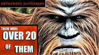 SASQUATCH Encounter | This Might SHOCK You [ NEW Update 2023 ] #bigfoot #cryptids