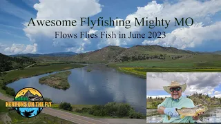 Awesome Fly fishing on the Missouri River Near Craig, MT - Flows, hot flies and great fish!!