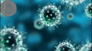 How Viruses Evolved