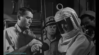 On the Beach (1959) We Picked Up A Signal But Everyone on Earth Died in WW3 from Fallout. Who is it?