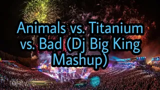 Animals vs. Titanium vs. Bad (DJ Big King Mashup)