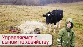 Управляемся с сыном по хозяйству. Проверяем котность козы. Осваиваем зернодробилку.