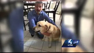 Blind man kicked off flight becasue of service dog