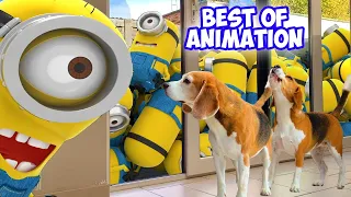 MINIONS in REAL LIFE TOP 100 ANIMATION COMPILATION Ep7