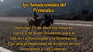 Los Sensacionales del Pronóstico #domingo 21 de #abril #datos de buen dividendo para La Rinconada