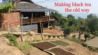 Artisanal Black Tea Processing