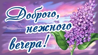 Доброго, нежного вечера! Душевного тепла! Сладких снов!