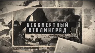 «Бессмертный Сталинград». Документальный фильм патриотического проекта МГИМО