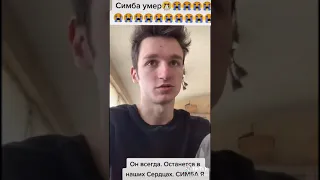 Симба младший умер......😭