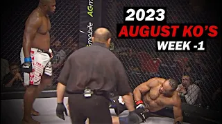 MMA & Boxing Knockouts I August 2023 Week 1