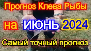 Календарь рыбака на июнь 2024 Прогноз клева рыбы Лунный Календарь рыбака 2024!