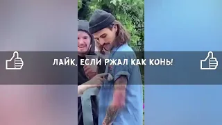 Лучшие приколы TikTok 😂🤣 Выпуск 234