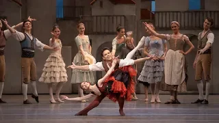 Why The Royal Ballet love performing Don Quixote