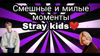 Смешные и милые моменты / Stray kids