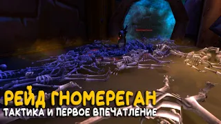 Гномереган. Тактика и подробности открытия нового рейда Season of Discovery WoW Classic