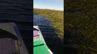 Air boat ride camp mack(2)