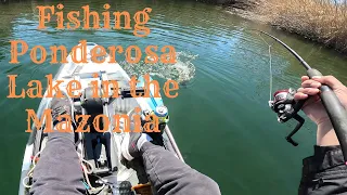 Fishing Ponderosa Lake in the Mazonia
