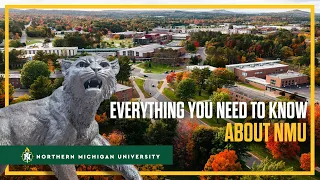 Everything You Need to Know about NMU 😼