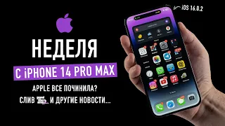 Неделя с iPhone 14 Pro Max. Apple все починила? GTA 6 слили. Wylsa Plus Apple Special Edition...