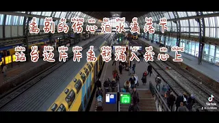 车站 by 曹磊 #chinesesong  Che Zhan with lyrics pinyin