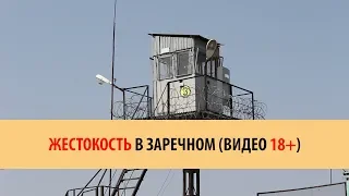 ЖЕСТОКОСТЬ В ЗАРЕЧНОМ (ВИДЕО 18+)