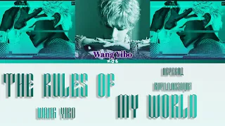 WANG YIBO - THE RULES OF MY WORLD [ПЕРЕВОД/КИРИЛЛИЗАЦИЯ/COLOR CODED LYRICS]