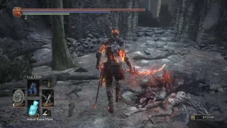 Soul of Cinder vs Crystal Sage and Farron Keep Enemies