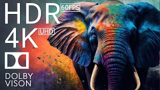 4K HDR 120fps Dolby Vision with Animal Sounds (Colorfully Dynamic) #80