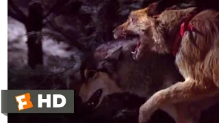 Look Who's Talking Now (1993) - Dog vs. Wolf Scene (9/10) | Movieclips