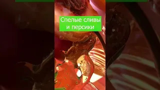 Lomani Elitis - медовый аромат с приятной стоимостью🐝