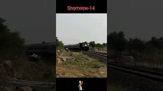 Cow Hit by Train | Very Sad to See | Save Animals #train #indianrailways #railway #animals