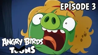 Angry Birds Toons | Golditrotters - S3 Ep3