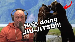 Joe Rogan reacts to New Crazy BEAR FIGHT Footage!!