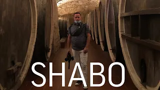SHABO | VIP-ЭКСКУРСИЯ И ДЕГУСТАЦИЯ по центру культуры вина Шабо во время карантина,  Covid-19