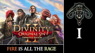 Divinity - Original Sin II #1 : Fire Is All The Rage