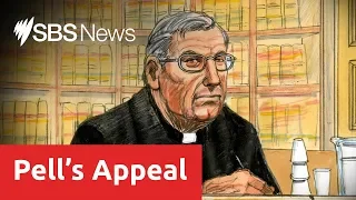 Disgraced cardinal George Pell fights to clear name