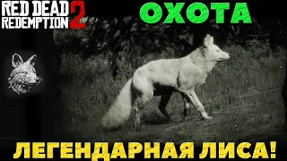 Red Dead Redemption 2 - Охота. Легендарная Лиса.