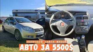 Какой авто купить за 5500$ / Fiat Linea / Автоподбор Киев / Avtopodbor UA