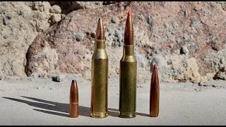 243 vs 6.5 Creedmoor: Which Is Best For You?