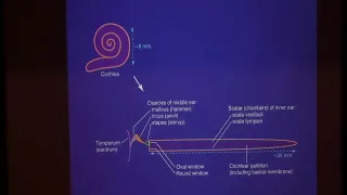 How Hearing Happens ▸ KITP Public Lecture by A. James Hudspeth