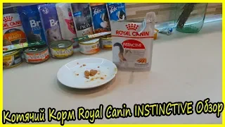 Корм Royal Canin INSTINCTIVE Обзор. Блог Кота Альфа. Обзор Влажных Кормов для Кошек Роял Канин