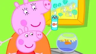Peppa Pig Yeni bölümler ⭐ Balık Goldie 🐟 Programının en iyi bölümleri | Çocuklar için Çizgi Filmler